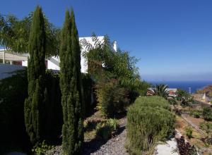 Casa La Breña La Palma