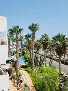 Palm Apartment - La Calma