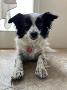 Agriturismo Qui e Ora