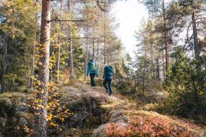 Forest Cabin Ainola next to Nuuksio National Park, in addition Hot Tub and Breakfast