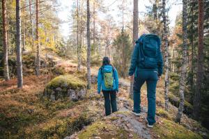 Forest Cabin Ainola next to Nuuksio National Park, in addition Hot Tub and Breakfast