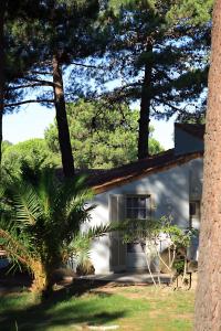 Hotels Kilina : photos des chambres