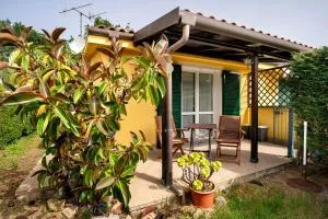 Villa Pairola - - Moltedo