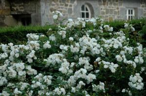 Hotels Chateau de La Ballue - Les Collectionneurs : photos des chambres