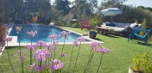 B&B / Chambres d'hotes Maranatha Guest House en Provence : photos des chambres