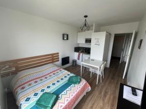 Appartements Studio 306 - Gare - Arena - centre Reims : photos des chambres