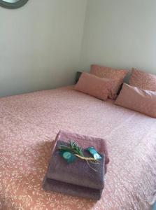 Appartements MISTRAL Gagnant : photos des chambres