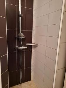 Appartements Le Maraicher avec terrasse, wifi, parking gratuit : photos des chambres