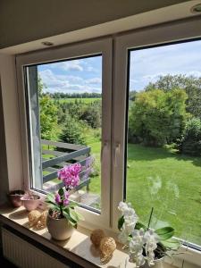 Ferienwohnung Grüne Auszeit