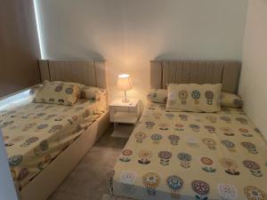 The groove el galala