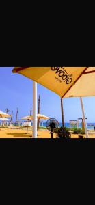 The groove el galala