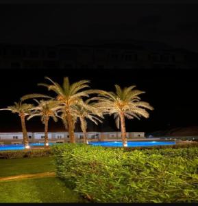 The groove el galala