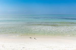 SeaCrest 614- by Holiday Isle Properties