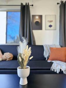 Popular Central Location King Bed The Repose