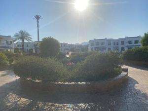 Sharm El Sheikh Naama Bay Sun shine Resort