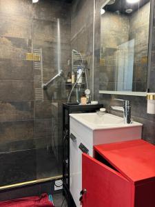 Duplex cozy avec entrée autonome, proche bus