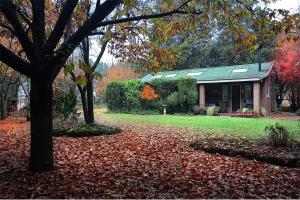 Birches Cottage & the Willows Garden Room