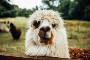 Archway 2 Cosy, En-suite Retreat