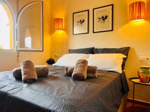 Aloe Vera by Sun & Sea Homes