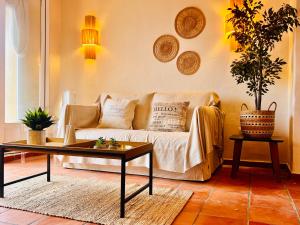 Aloe Vera by Sun & Sea Homes