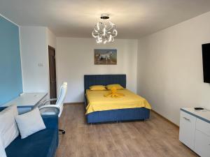 Turquoise Studio Nerva Traian