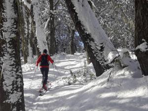 Cabañas Orillas del Chimehuín -Cabaña Chica 4 pax-