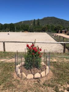 Fermes Les Chalets de Tesa : photos des chambres