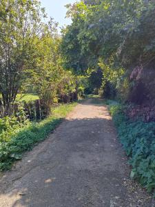 Domacinstvo Pecina Petnica