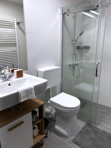 Downtown Apartments Pécs