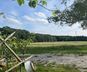 Ferienwohnung Metzner