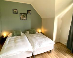 Paradise Cave Hostel & Guesthouse