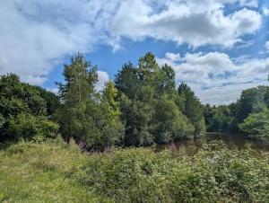 Gîte Familial en Pleine Forêt