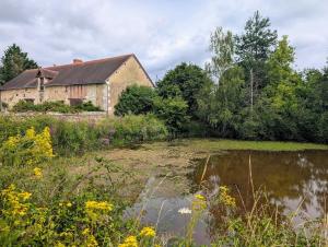 Maisons de vacances Gite Familiale en pleine foret : photos des chambres
