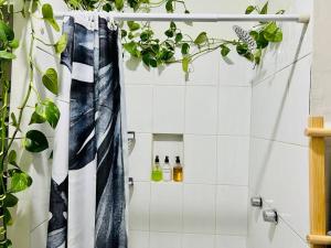 The Best Location in Condesa Roma with Air Conditioner