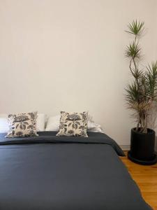 The Best Location in Condesa Roma with Air Conditioner
