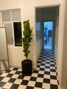 The Best Location in Condesa Roma with Air Conditioner