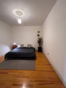 The Best Location in Condesa Roma with Air Conditioner