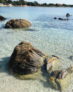 Beach House Ilaria- Smeraldo Apt img28