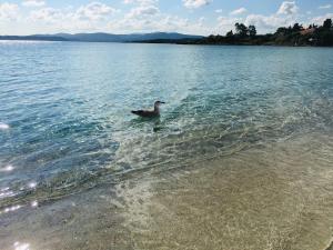 Beach House Ilaria- Smeraldo Apt img1