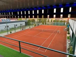 LUX KUCA sa teniskim terenom, djakuzijem, mini zoo - Šid