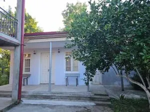 Cozy cottage - Khobi