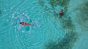 Medusa Hostel Isla Tintipan