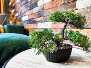 Compact Studio for Digital Nomads, Fast WiFi, AC