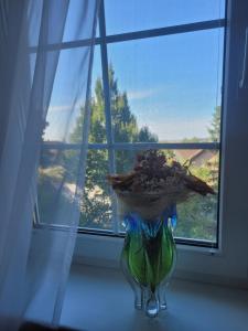 Homestay Kuchařovice