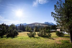 Appartement Steigerbauer 1