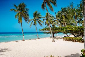 Coconut Court Beach Hotel - Hotellit, Bridgetown