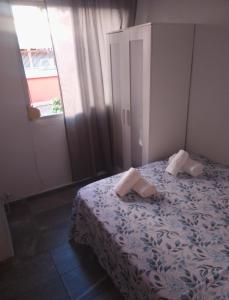 apartamentos coris urban center