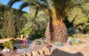 Villas Villa Oleander, Mougins : photos des chambres