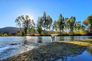 Honeypot Fly Fishing Eco Chalet