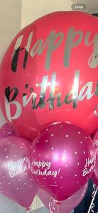 Terfyn Hall holiday Apartment 2